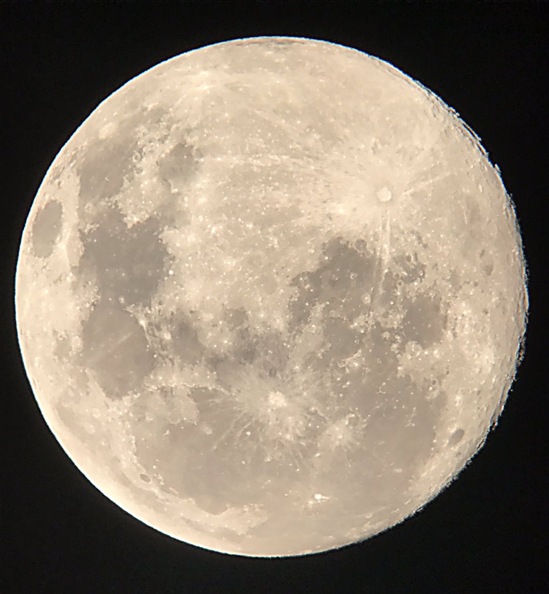 Moon! I love the golden tint.