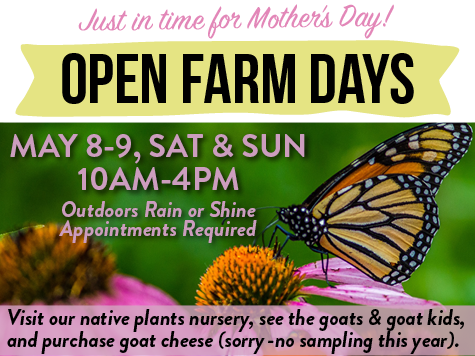 Yellow Springs Farm LLC tweet media