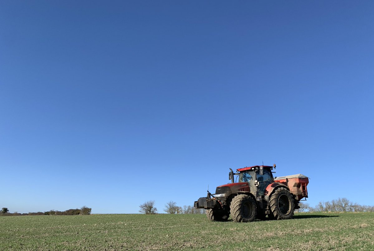 Matthew Carter (@matthewdcarter) on Twitter photo Absolute corker for spreading some <a href="/OriginFert/">Origin Soil Nutrition</a> 33N 30SO3 onto some late drilled <a href="/SenovaLtd/">Senovaltd</a> Costello Winter Wheat 🌾☀️
<a href="/velcourt/">Velcourt</a> <a href="/CaseIH_UK_IRE/">Case IH UK & IRE</a> Absolute corker for spreading some <a href="/OriginFert/">Origin Soil Nutrition</a> 33N 30SO3 onto some late drilled <a href="/SenovaLtd/">Senovaltd</a> Costello Winter Wheat 🌾☀️
<a href="/velcourt/">Velcourt</a> <a href="/CaseIH_UK_IRE/">Case IH UK & IRE</a>
