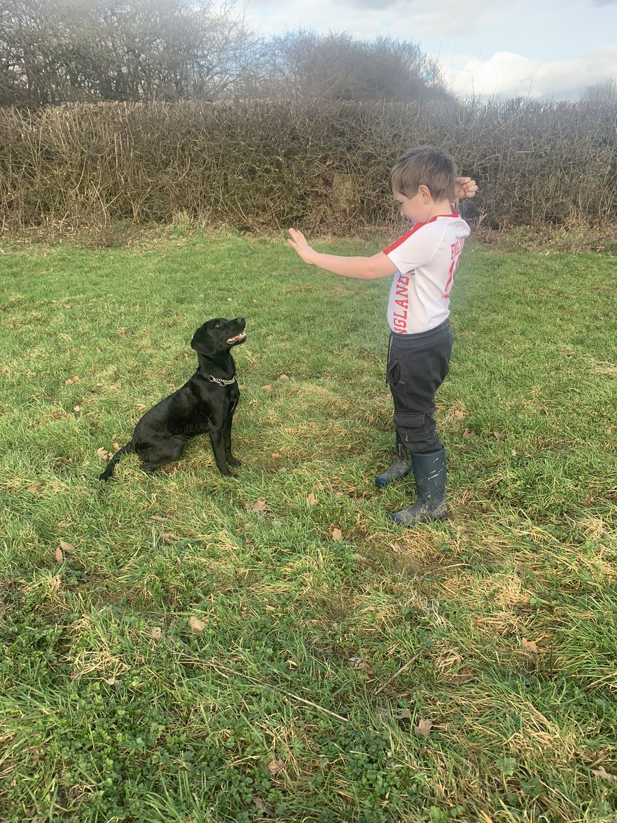 Leanne_Jones01's tweet photo. Dog schooling instead of home schooling today #dogsoftwitter #jackrussellterrier #blacklabx https://t.co/QLqPXdQuQd