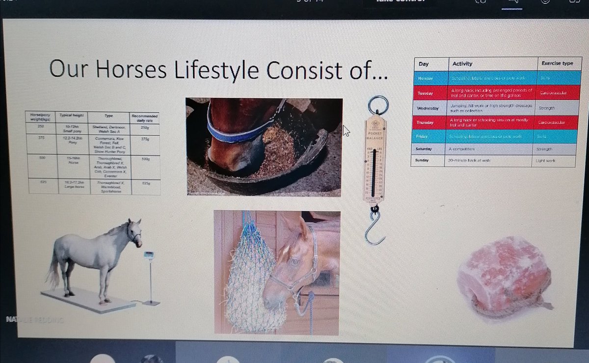Penny__Ralph's tweet photo. So proud of the Level 3 year 2 Equine students at @cravencollege delivering their remote event for the equestrian rider via @MicrosoftTeams last night - super feedback from the attendees "professional" "very informative" #equestrianlife #enrichinglives https://t.co/XkIQXHXYWr
