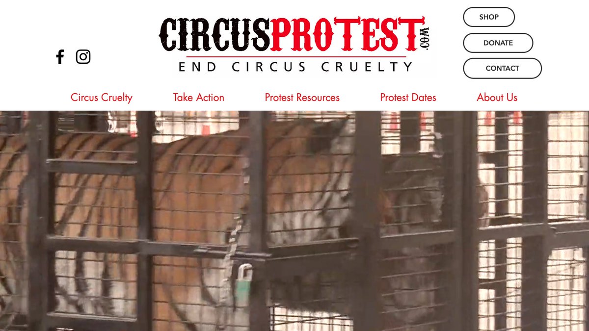 CircusProtest's tweet image. circusprotest.com has gotten a major facelift plus new content! The circuses may be on hiatus...but we&apos;re not! #endcircuscruelty