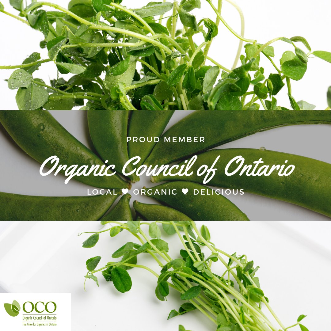 heartycatering's tweet photo. Proud to have renewed our membership with @orgcouncil for 2021! 
💚
Consider joining today to support their necessary and meaningful work on behalf of a healthier more sustainable future!
💚
#local #organic #delicious #sustainable #ontag #organicfarming #regenerativeagriculture https://t.co/IiUSqjV7ti