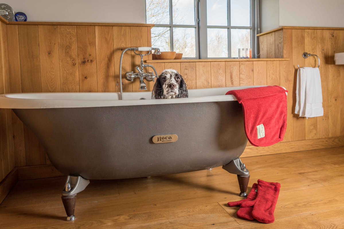 RuffTumbleCoats's tweet photo. Friday night is bath night. And it just got easier.
Dog Drying Coat ๐
Mitts ๐
Easier ๐
Say goodbye to a hurricane in the bathroom: https://t.co/6t8H3QeMsf
#bathingthedog #dogbaths #dogdrying https://t.co/dcyCRzvx6O