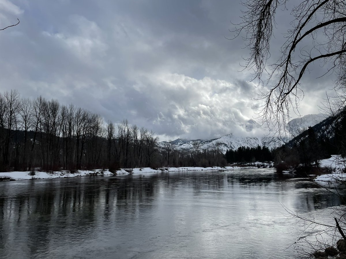 Shande King (Nicholas) tweet media