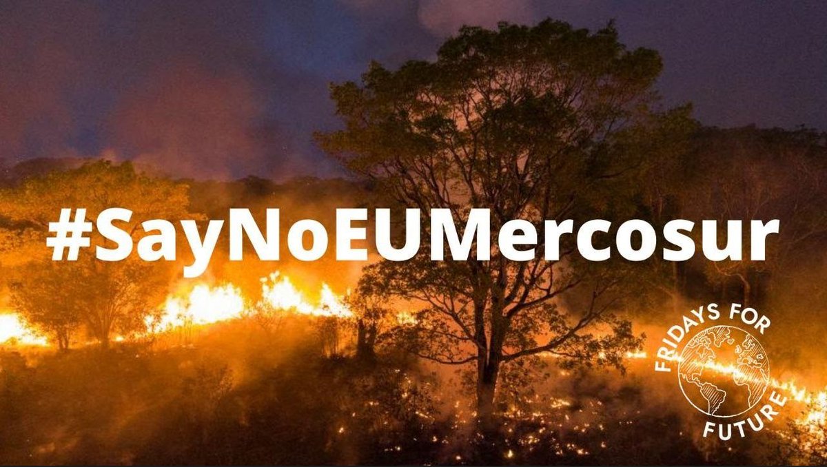 Weil das LEBEN, und damit auch WIR und alle anderen Lebewesen dieser Erde, den Amazonasregenwald zum ÜBERLEBEN braucht - es ist 12, Frau von der Leyen!: #SayNoEUMercosur !!! <a href="/vonderleyen/">Ursula von der Leyen</a>