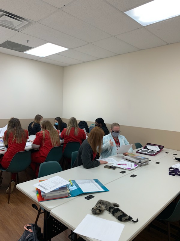 Miley visited today to serve as moral support while our Veterinary Assistant students practiced their phone communication skills for the veterinary office! 
Are you interested in learning more about our Veterinary Assistant Program? Visit our website to learn more!