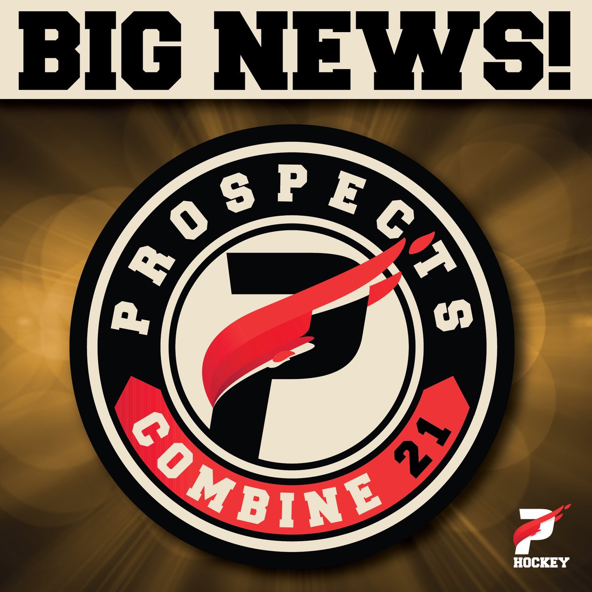The #1 Scouting opportunity in 2021. Fredericton, NB May 27th weekend. Special invitations are in the mail to players. Stay Tuned for further updates. #qmjhl #MHL