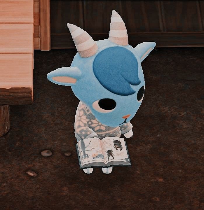AstraMayor's tweet photo. #acnhvillagersinboxes #acnhtrades #ACNH

Sherb in boxes! ❤️ https://t.co/g0rSQpTIFS