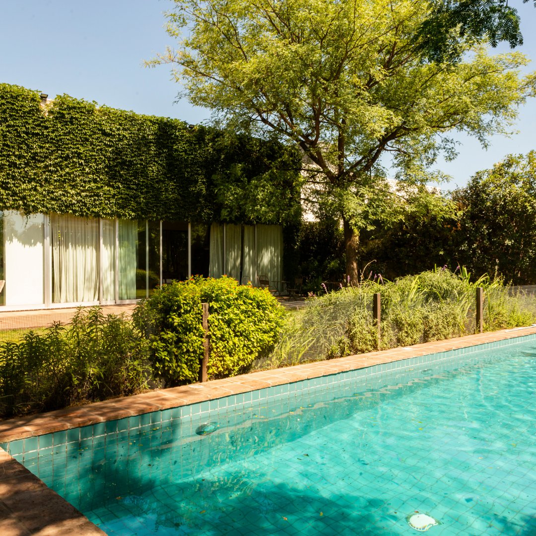 edificor's tweet photo. Uno de los secretos de este jardín es el tratamiento que se le dio a la pileta. A diferencia de otros proyectos, se prefirió trabajarla como un elemento más del paisaje, por eso se encuentra situada como si fuera un estanque, oculta entre las plantas.🌿🏊

#JardinesconVidayObra https://t.co/fcFHFX6PyY