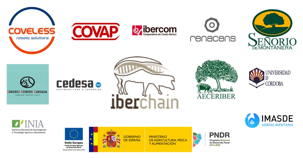 Una de las tecnologías que están destacando dentro de la industria alimentaria es el Blockchain. En Coveless ya estamos trabajando en esta dirección, formando parte del G.O. Iberchain, implantándolo en la cadena de valor de la carne etiquetada como Ibérico 100% raza autóctona.