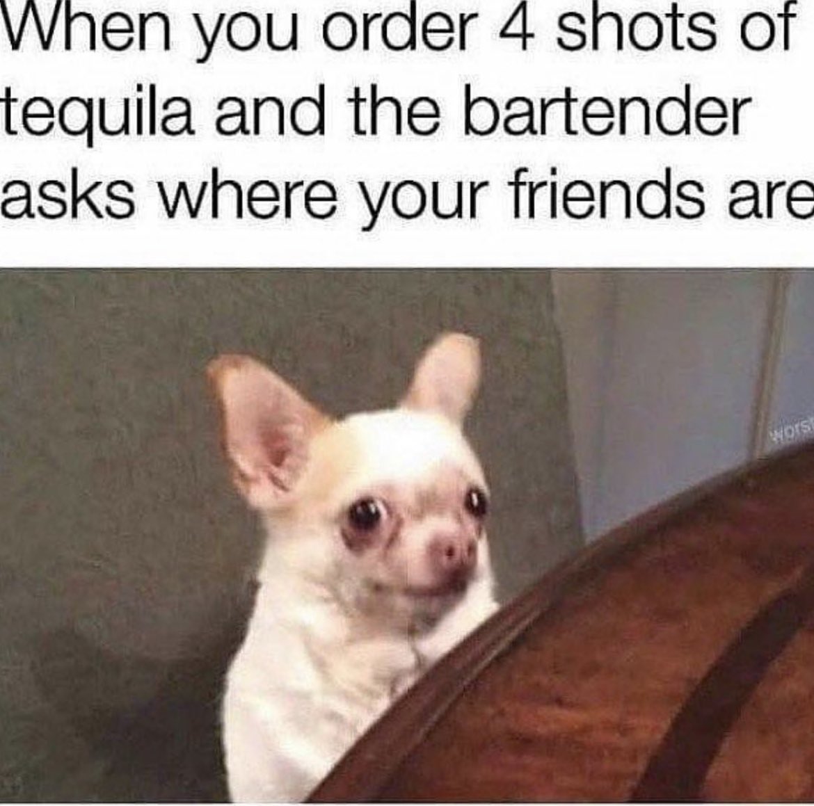 cocktailclubuk's tweet photo. We’ve all been there. 

Can’t wait to open up 🤫🥃

#londoncocktails #londoncocktailclub #londonlife https://t.co/I2cnYpdfLv