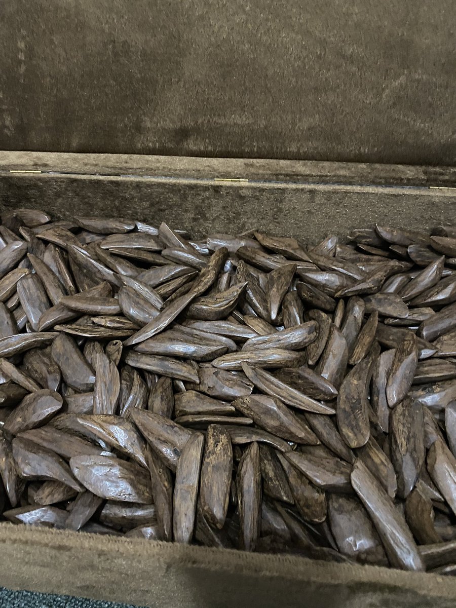 SAEED ALHABIB tweet media