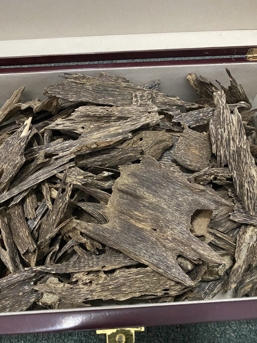 SAEED ALHABIB tweet media