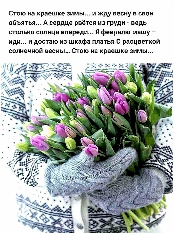 Muse_Mokhina's tweet photo. #скоровесна #весна #ждувесну #февраль #последниеденькизимы ❄❄⛅🌝🌞🌞🌞 https://t.co/2fvJze8SRK