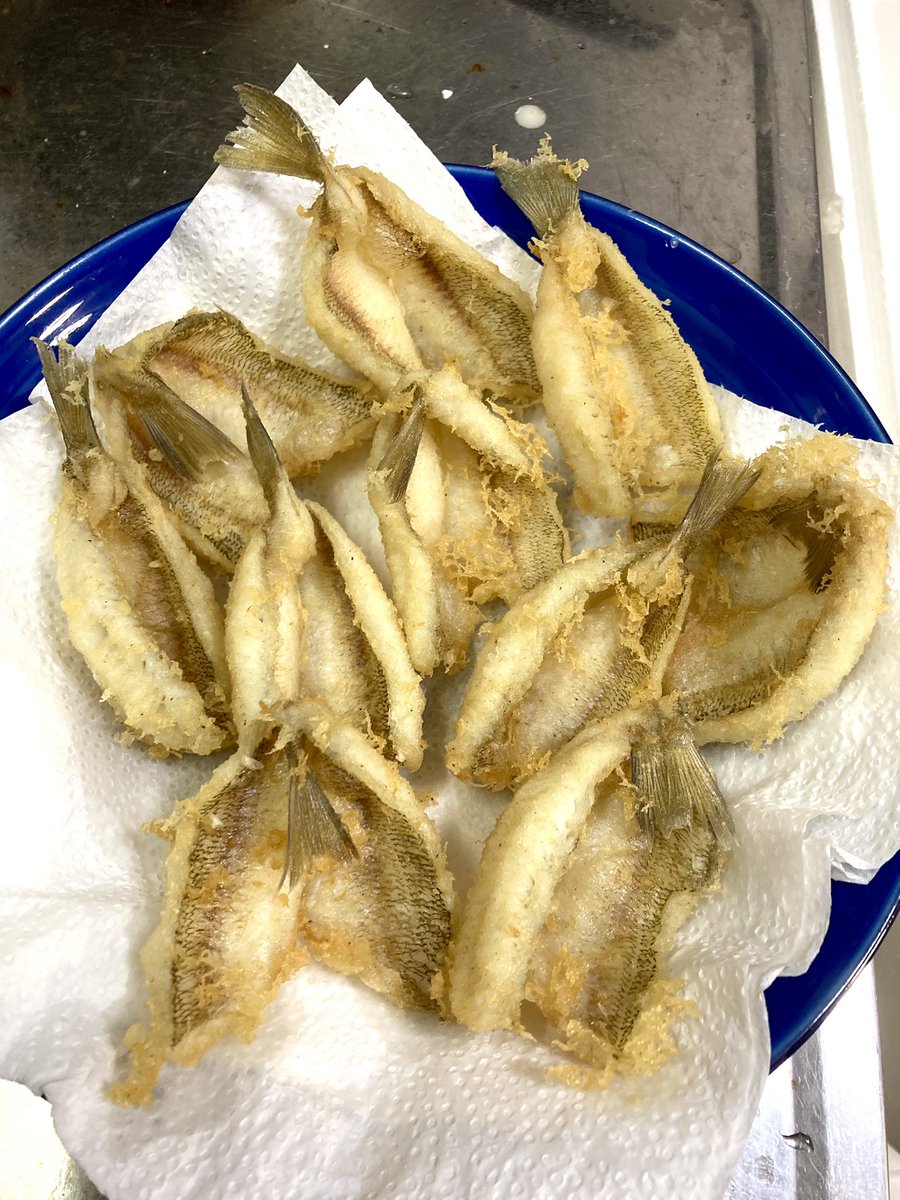 十六夜にゃも 例大祭お疲れ様 シロギスは開いて天ぷらに カイワリは塩焼きにしようかな 十六夜にゃも 例大祭お疲れ様 シロギスは開いて天ぷらに カイワリは塩焼きにしようかな