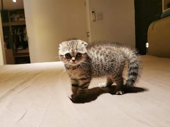 Bulu Bulu Kehidupan 🇲🇾 tweet media