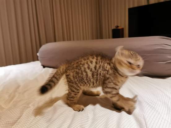 Bulu Bulu Kehidupan 🇲🇾 tweet media