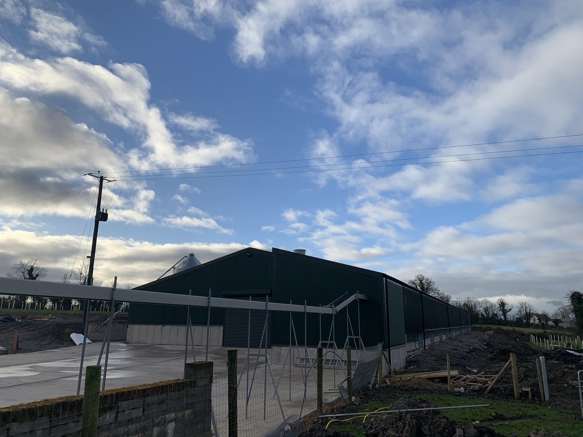 martinjctwit's tweet photo. D-Day....Pullets incoming to new house on site. Thanks to @VencomaticUK @mulveyp2 @EngineeringReid @IDS @DMelectrical for the first class workmanship......⏳🔜🐓🥚🥚🥚 https://t.co/FVKCt7trEw