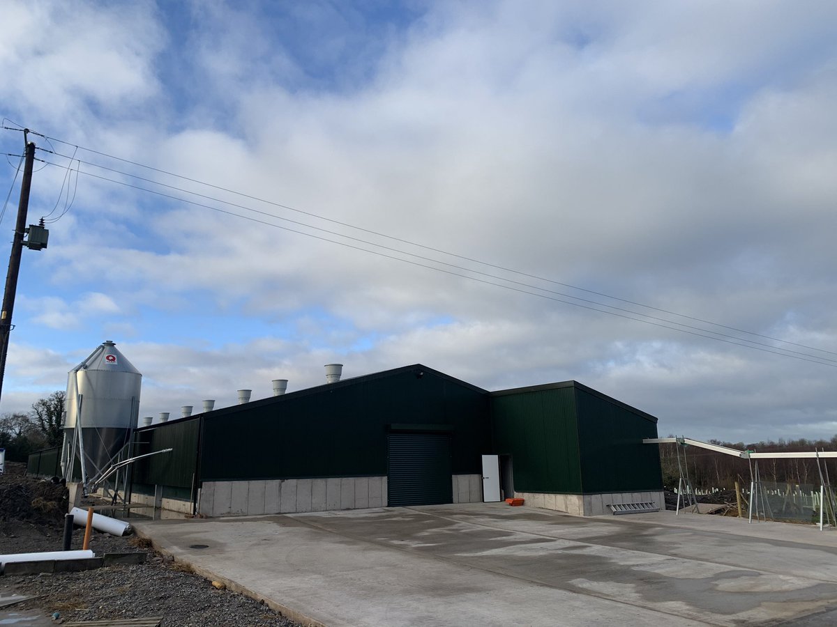 martinjctwit's tweet photo. D-Day....Pullets incoming to new house on site. Thanks to @VencomaticUK @mulveyp2 @EngineeringReid @IDS @DMelectrical for the first class workmanship......⏳🔜🐓🥚🥚🥚 https://t.co/FVKCt7trEw