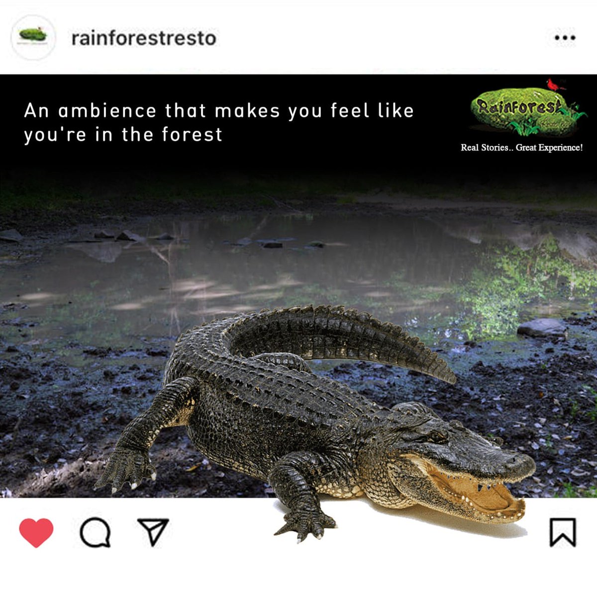 Connect yourself with nature as you disconnect yourself from the outside world. 
With a never-seen-before ambience, we promise you an experience you'll always remember. 

#RainforestRestobar #Crocodile #Nature #ConnectAsYouDisconnect