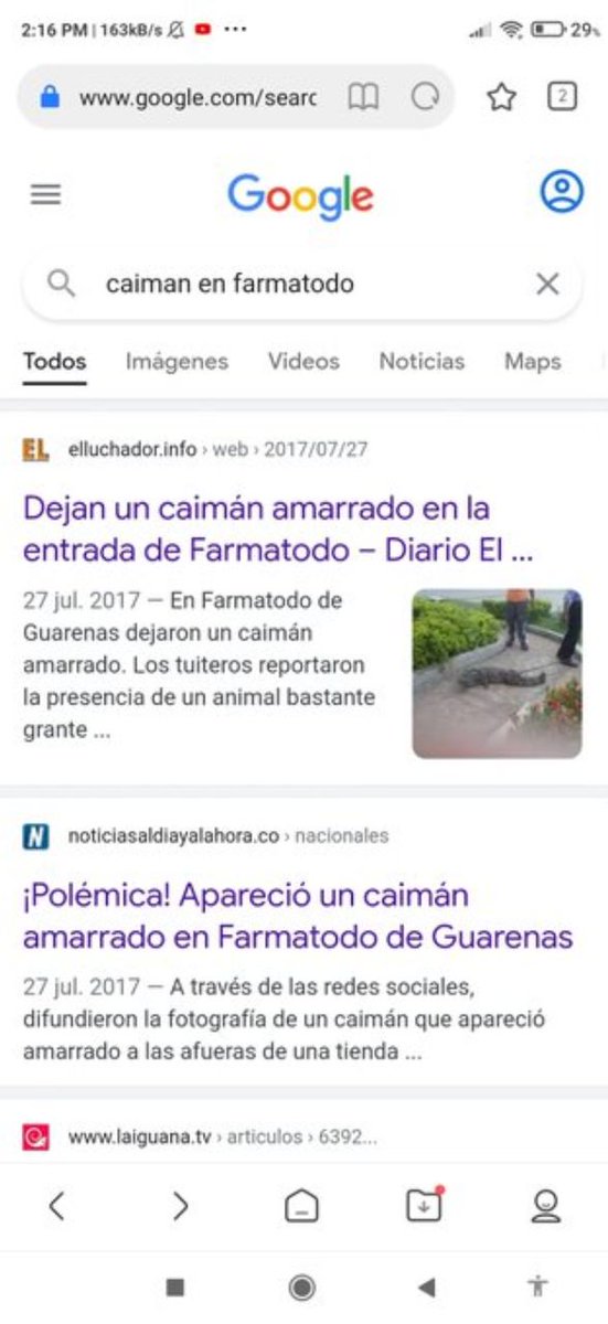 El día que dejaron un caimán amarrado en la puerta de un farmatodo ...