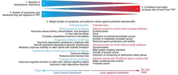 jclinicalinvest's tweet photo. Testosterone replacement in aging men: an evidence-based patient-centric perspective: https://t.co/DVWfS9Zb1U
A #Viewpoint by Shalender Bhasin @BrighamWomens https://t.co/ceXQiX6Ayl
