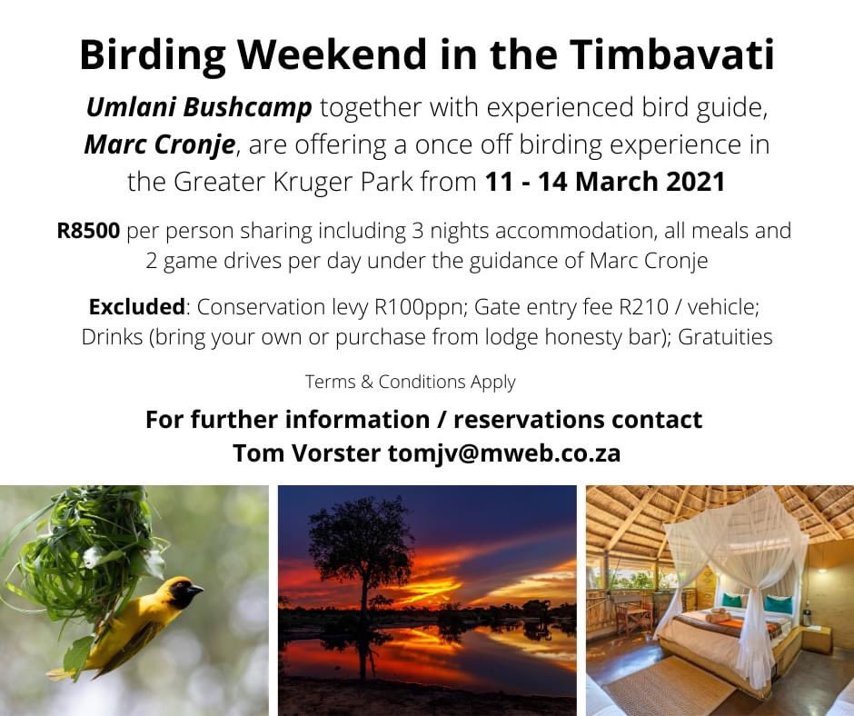 HEY HEY HEY 👇🏼 see this wonder opportunity for birders