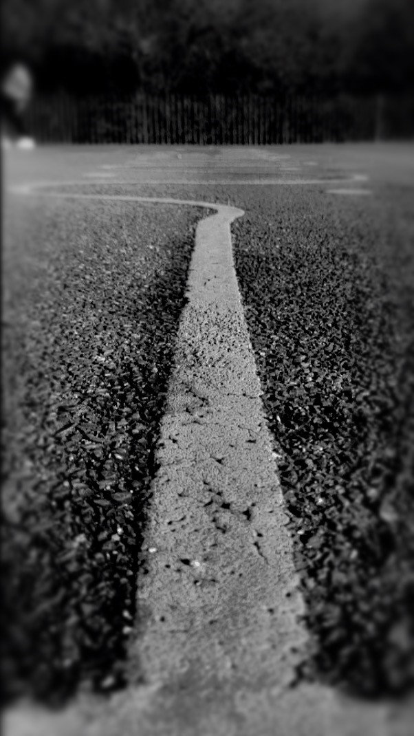 showandtellphoto tweet media