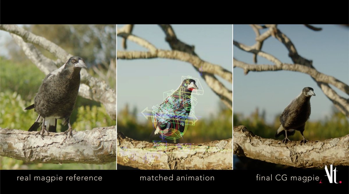 ArtofVFX's tweet photo. Let's have a look at the #CG magpies work made by #AltVFX on #PenguinBloom: https://t.co/5E0DyV4c3g https://t.co/jp0YmNY5ms