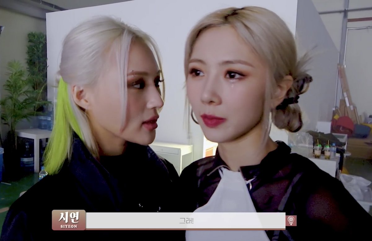 rosiejiu's tweet photo. siyoo in a nutshell https://t.co/wwSHfzKVZa