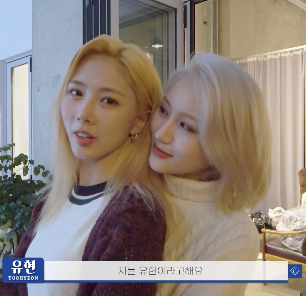 rosiejiu's tweet photo. siyoo in a nutshell https://t.co/wwSHfzKVZa