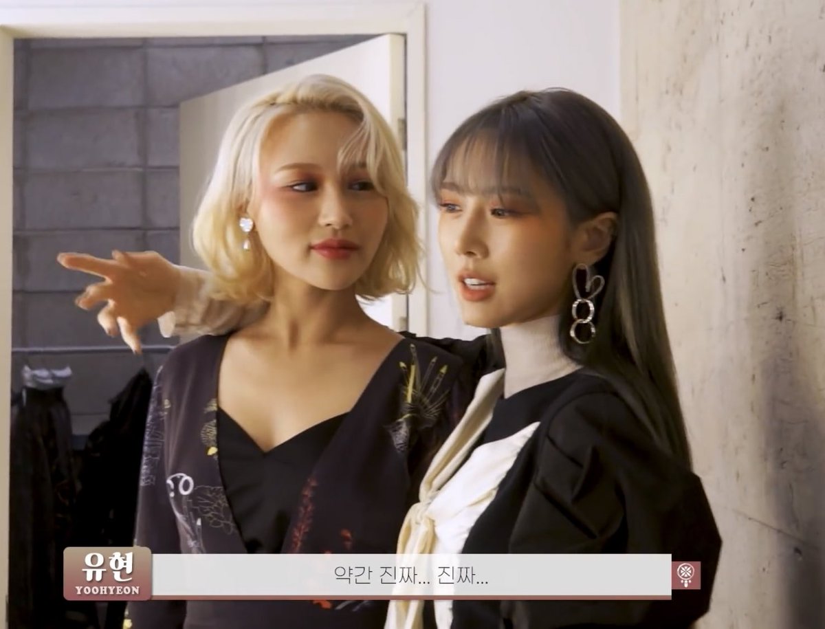 rosiejiu's tweet photo. siyoo in a nutshell https://t.co/wwSHfzKVZa