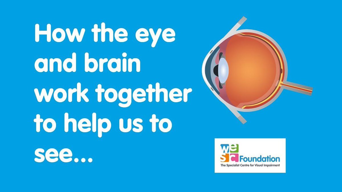 InFocusCharity's tweet photo. VIDEO: How the eye and brain work together to help us to see. Do share if you're homeschooling children who are learning about the eye in science! #Exeter 

https://t.co/vd4HjqfqBg https://t.co/jBgr8rfn5e