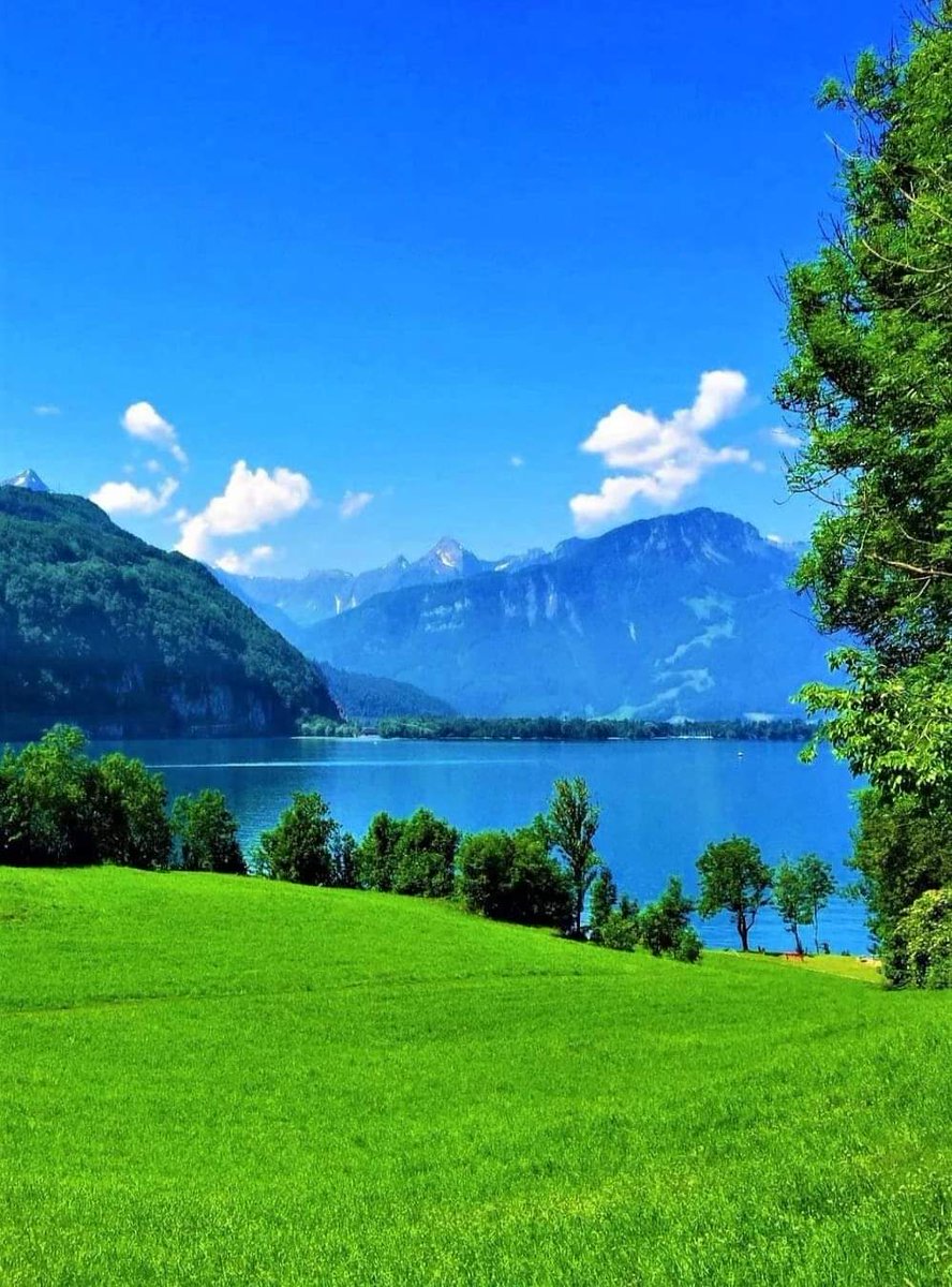 zentripstar's tweet photo. #WALENSEE, #SWITZERLAND
💕💕Retweet and Follow @zentripstar for more #amazing #destinations and #traveltips https://t.co/77bJYnQPKc