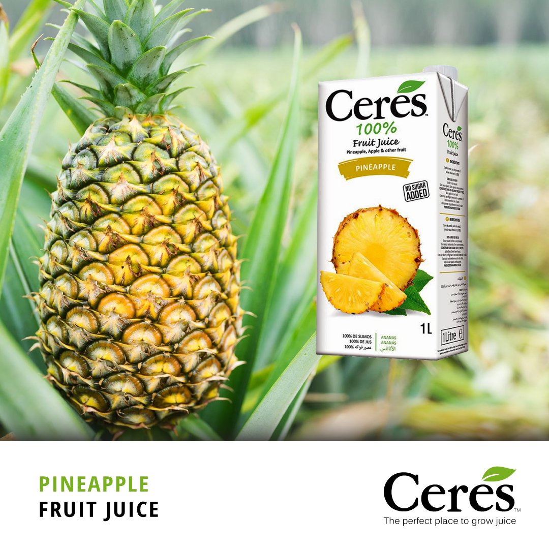 Drink Ceres Juice (Barbados) on Twitter "Pineapples are harvested