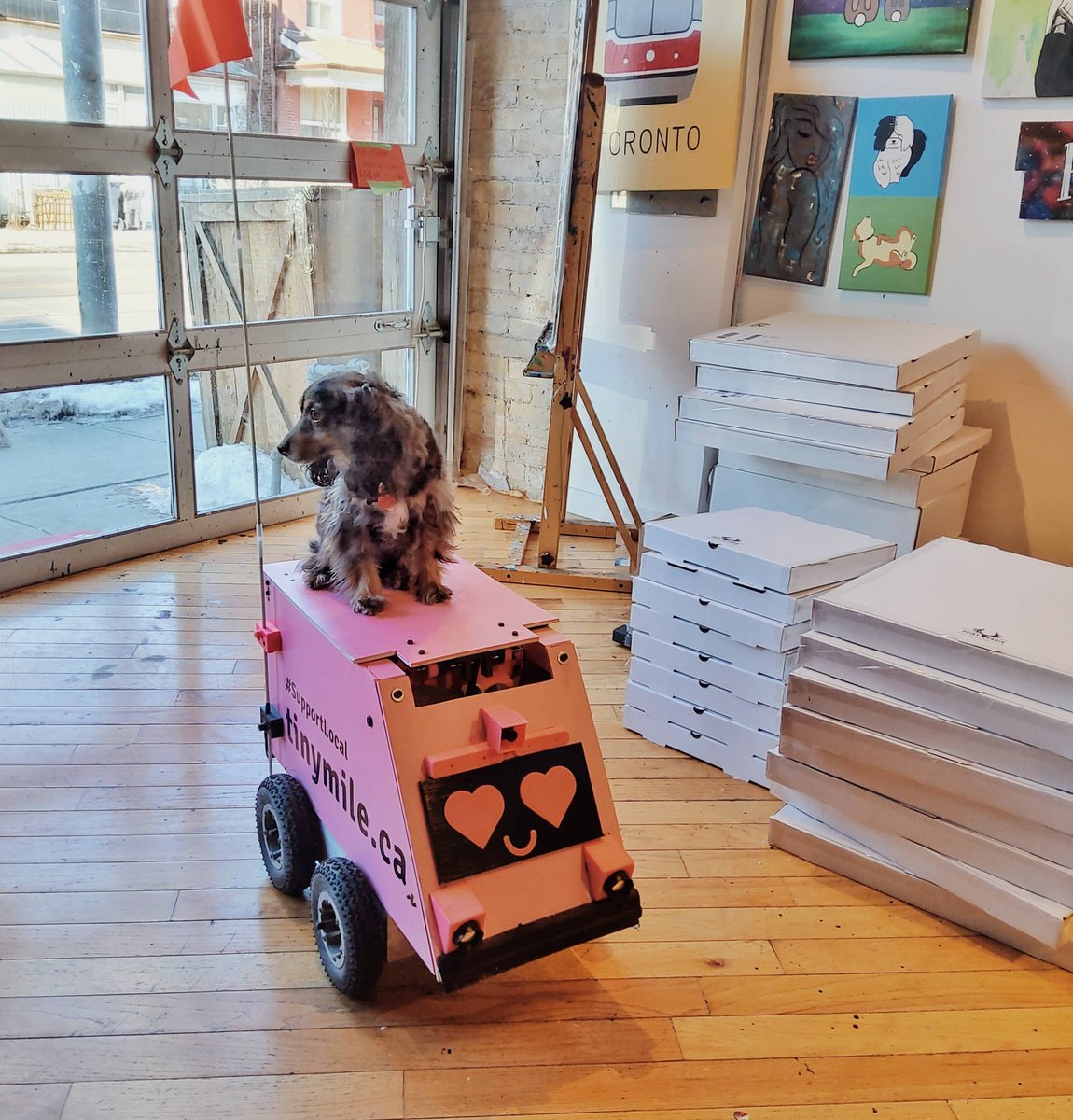 PaintCabin's tweet photo. Geoffrey came by and fell in love with our paint + vintage wood sign kits! She even eyed our 🍷!
We are so excited to start partnering with @tinymile.ca with some of our local deliveries! 🤖
💕
#robot #delivery #toronto #tinymile #geoffreyexperience #robotdeliveryservice #robotic https://t.co/USGO5TgWgc