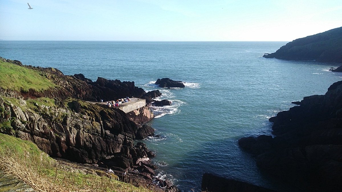 Skokholm Island tweet media