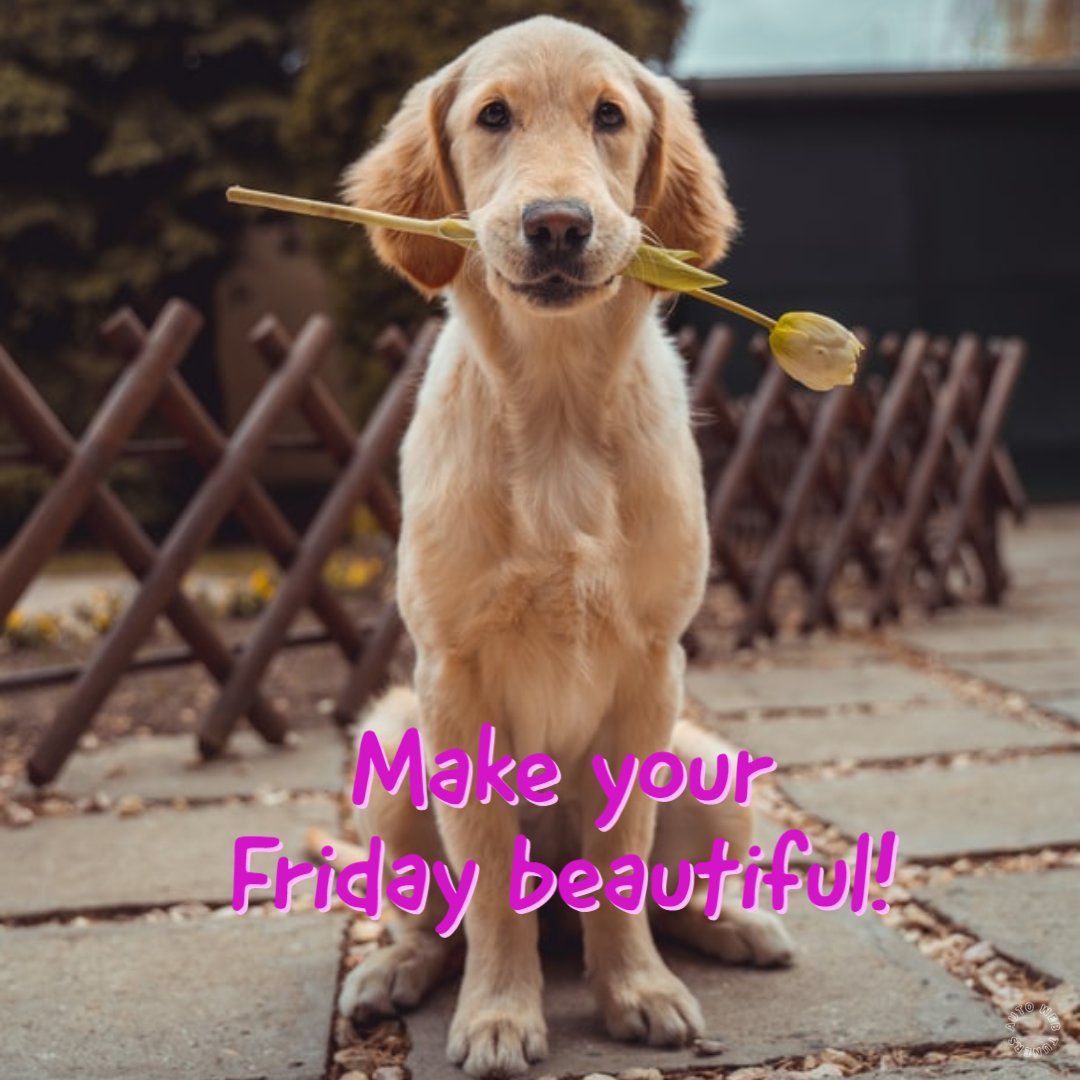 CollexAutoBody's tweet photo. Make your Friday fabulous!
Collex Collision https://t.co/Q0xuMtypEL
#CollexCollision️ #TGIF #FridayVibes #BeBeautiful #SpreadKindness https://t.co/F1oIvP0fYy