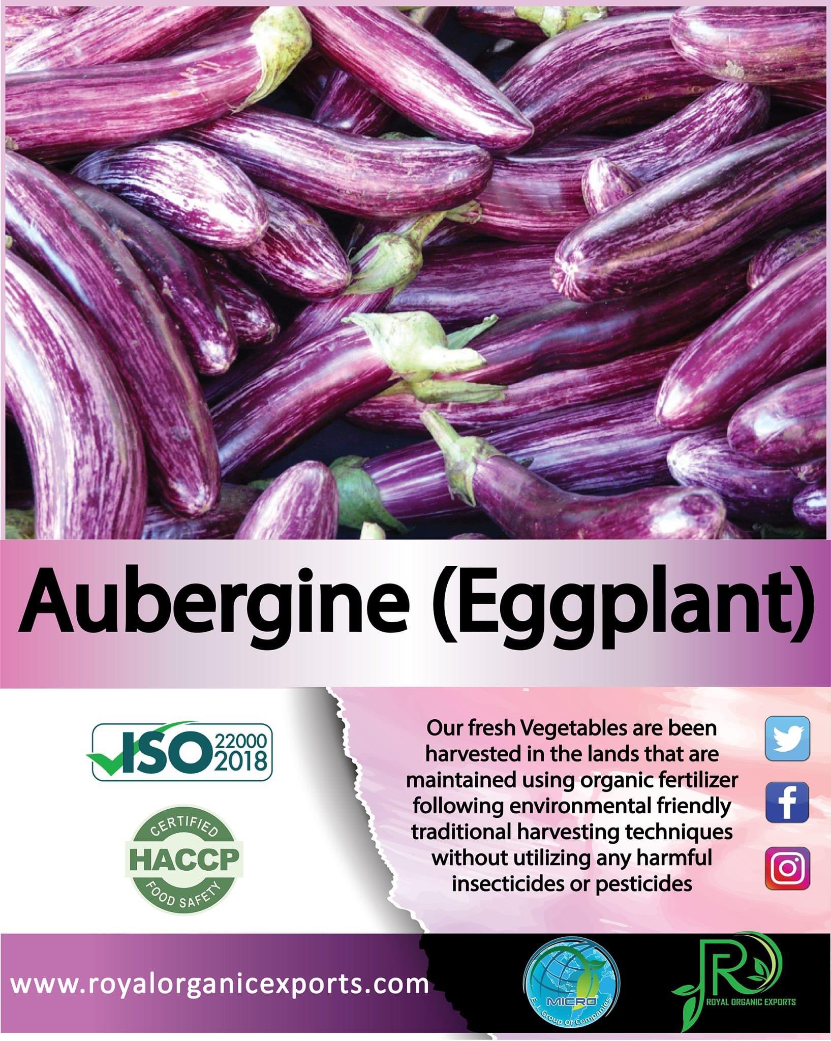 eggplant manufacturers, eggplant manufacturers Suppliers and