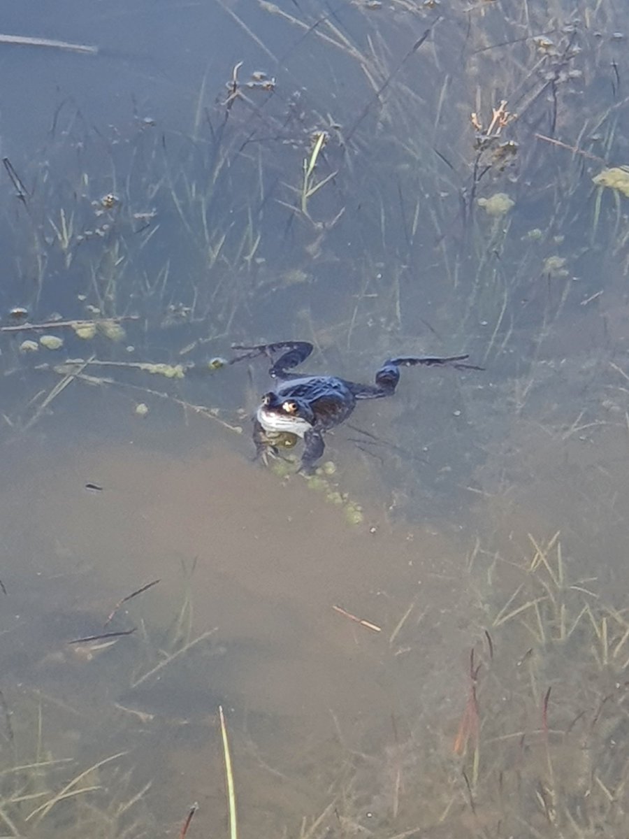 Cheltenham Parks tweet media