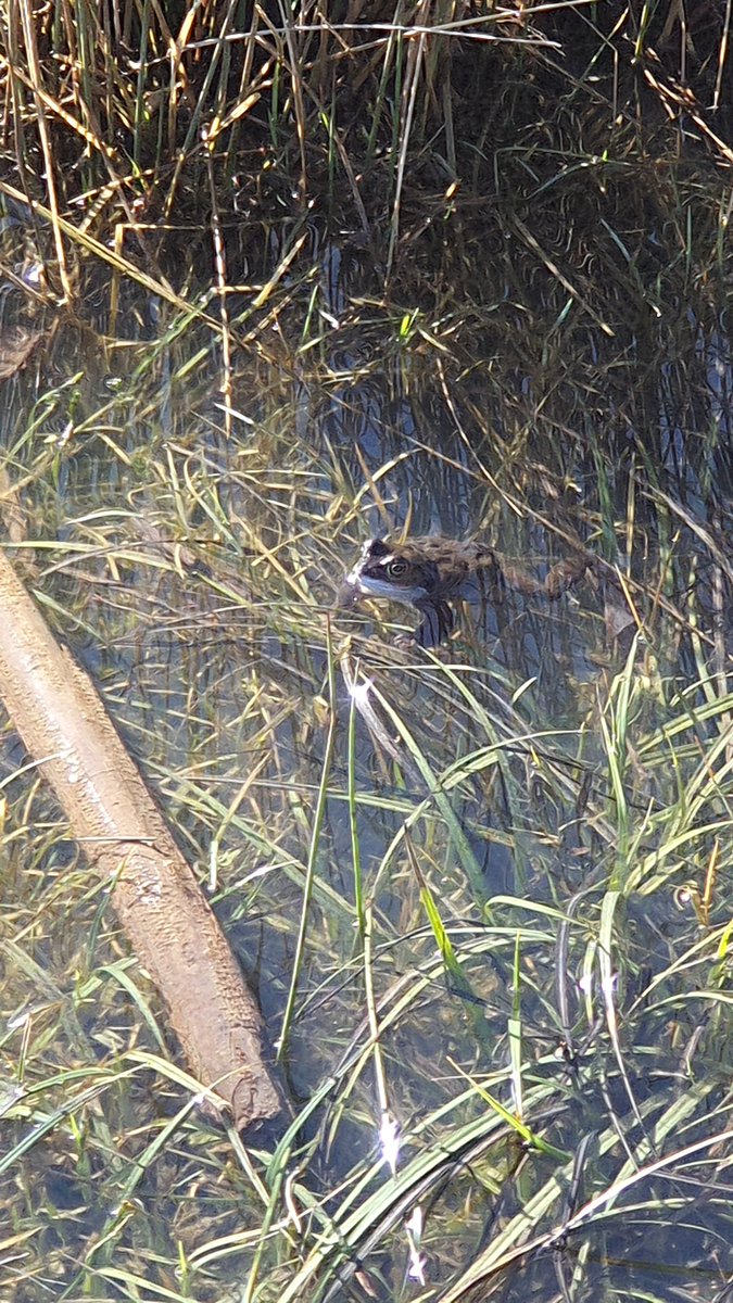 Cheltenham Parks tweet media