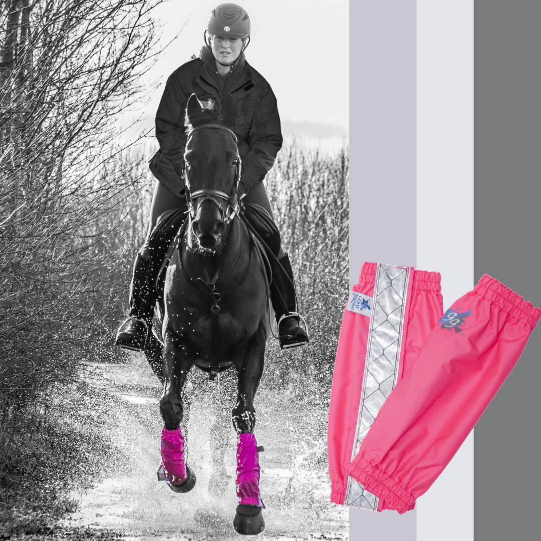 GollyGaloshes's tweet image. Pᴇʀꜰᴇᴄᴛ Iɴ Pɪɴᴋ💓
#ad Our fabulous Sponsored Rider, @VBEventing makes a splash in our glorious Golly's in Hot Pink!
SHOP OUR SALE: bit.ly/2O5TI4K
#eventers #eventhorses