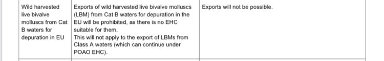 Letter from Environment Secretary George Eustice to “colleagues” on 10 December makes it clear that the export of unpurified live bivalve molluscs from UK to EU would be prohibited from January 1 this year. There is no caveat about it being a temporary ban or under negotiation.
