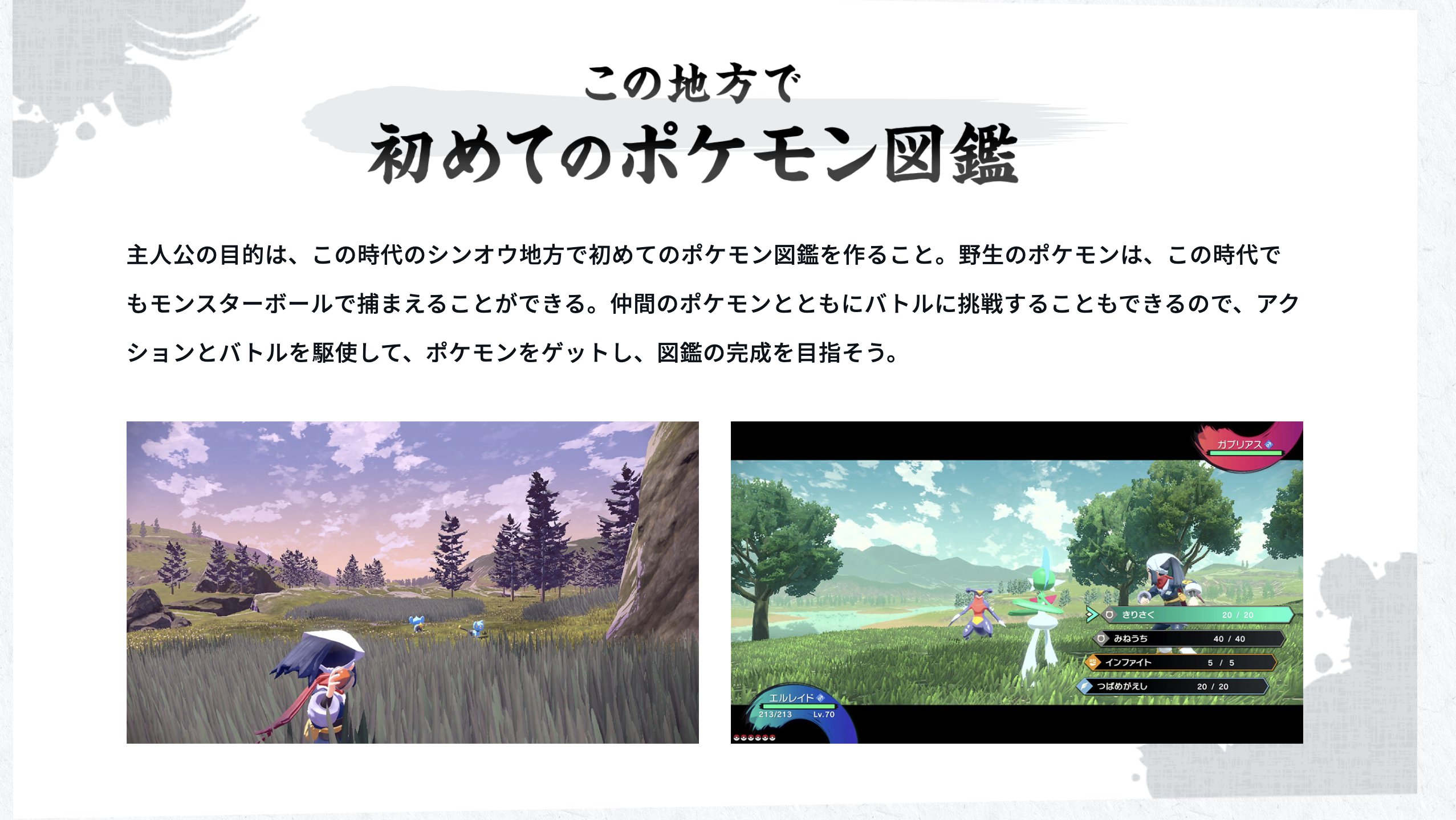 ミュウちゃんを溺愛してるトレーナー Micky Myulovetrainer Twitter