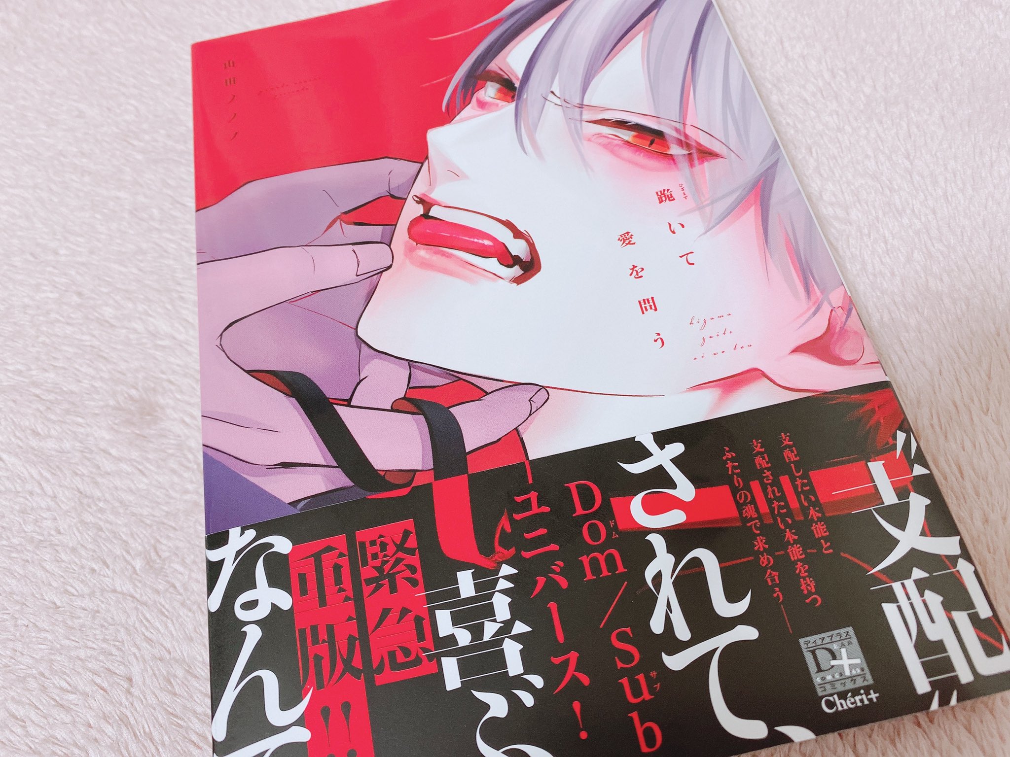 後払い手数料無料】 ご主人様だ~い好き 販促非売品ポスター 印刷物