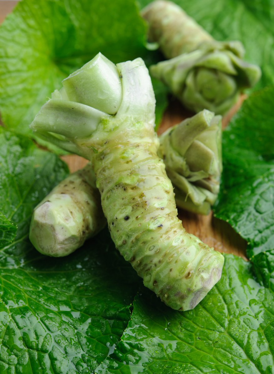 Looking forward to seeing you all this evening for Wasabi at home with <a href="/Yukiskitchen/">Yuki's Kitchen</a> at 6.00pm.

We have a record number of 200 booked it's going to be great fun!

Who's coming? 

#wasabi #cookalong #yukiskitchen #freswasabi #wasabivodka #fridaynight