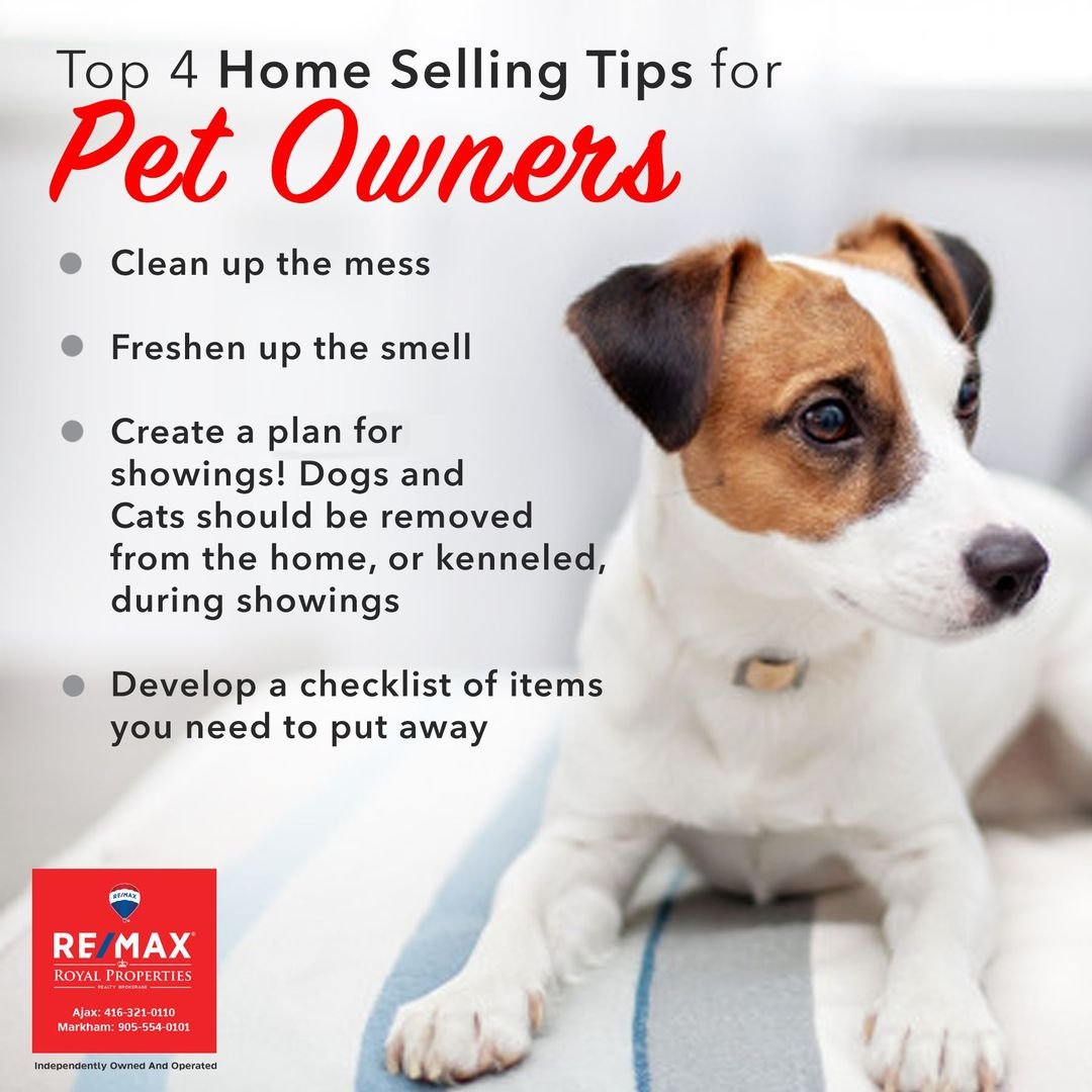 REMAXROYALPRO's tweet photo. Did you know that pets can sometimes lead to lower offers when selling your home? 🙀🐰🐶 Here are a few tips to help make sure you can keep loving them right through the selling process! https://t.co/MvqFEus6C1