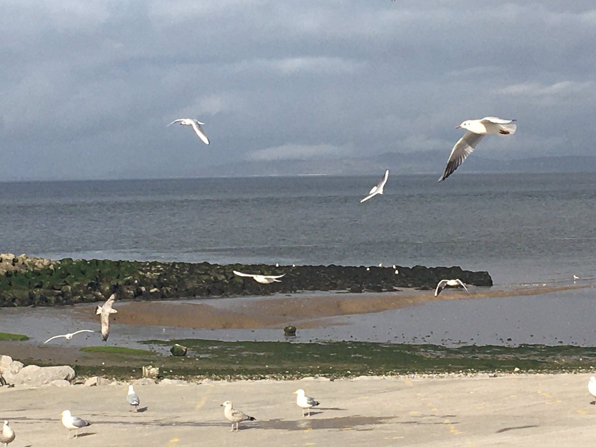 morecambe_bay's tweet photo. Recording in #Morecambe today and counting down until the first series. #MBpod #MorecambeBayPod #podcasts https://t.co/HGwbygovDP