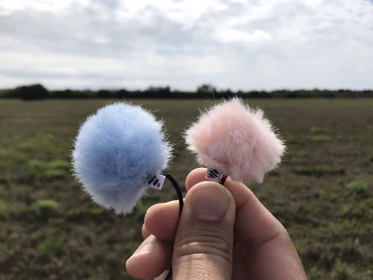 Blue for my son &amp; Pink for my daughter 😉

These are #Weevee brand windjammer furs used to cover my lavalier mics from direct wind noise

#soundeffects #microphone #lavalier #lommikrousi #sounddesign #gameaudio #gamesound #audioforgames #filmsound #audiopost #traveler